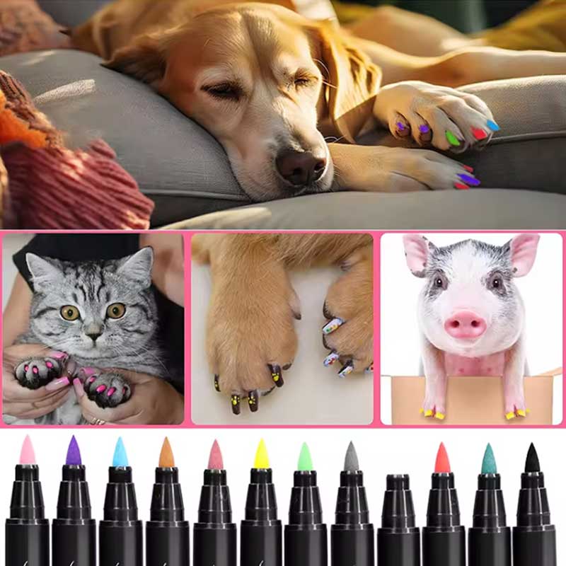 pix pentru unghii pentru câine de companie